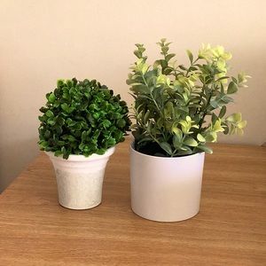 Fake Grass Plant